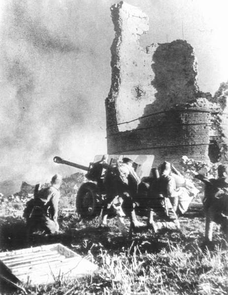 Die Stalingrader Schlacht
